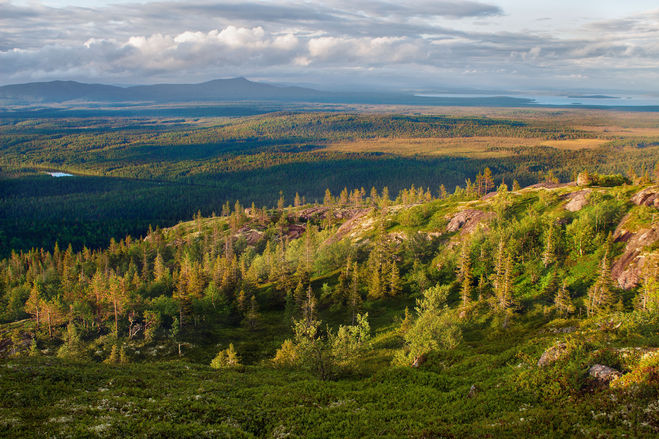 Живописный ландшафт парка Паанаярви.