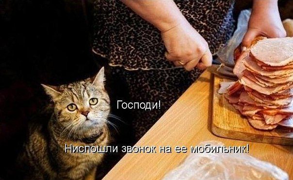 текст при наведении