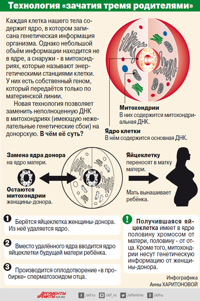 текст при наведении