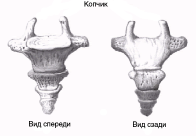 текст при наведении